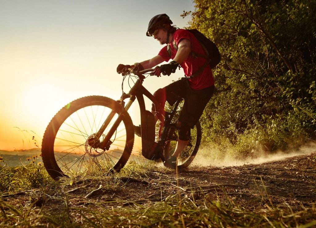 Noleggio eBike a Parma